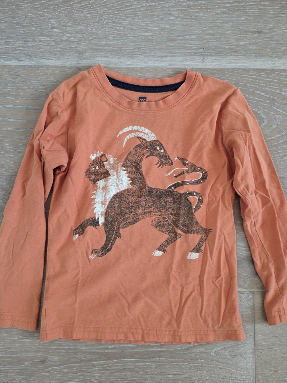 Tea Collection Orange Long-Sleeve Shirt with Chimera Graphic Sz 5